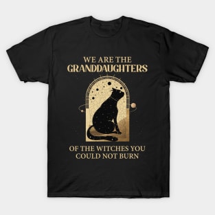 We Are the Granddaughters of the Witches You Could Not Burn Black Cat Black Stars Black Magic T-Shirt